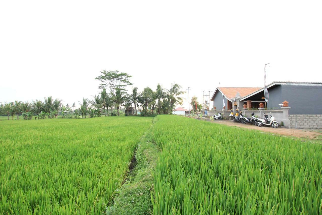 Ayuna Family Ubud Extérieur photo