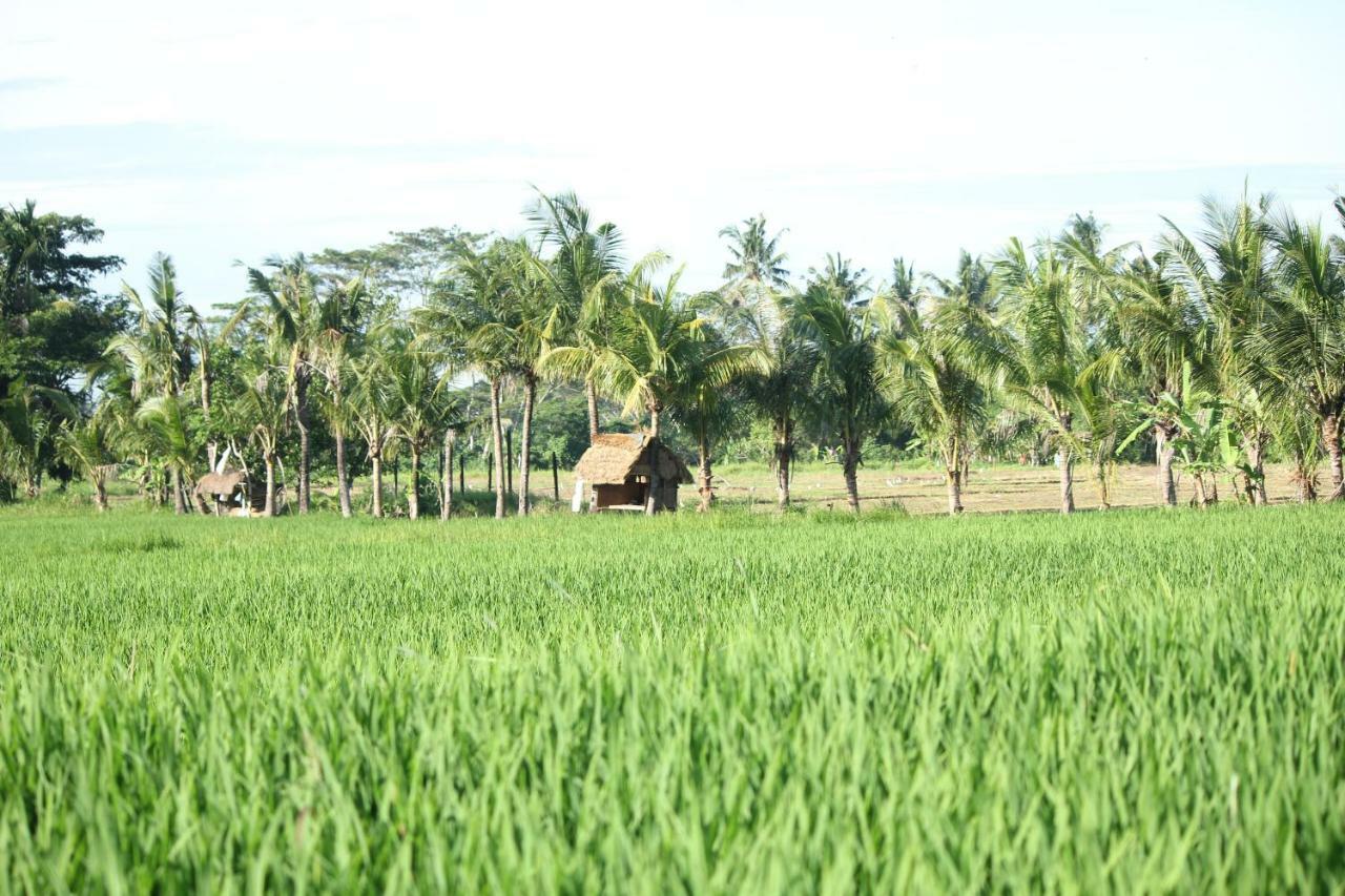 Ayuna Family Ubud Extérieur photo